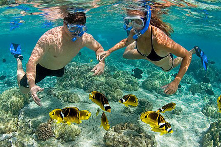 Tanzanie : forfait aventure d&#039;un an avec ascension du Kilimandjaro