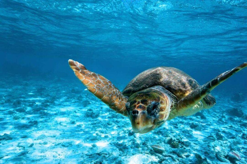 Zakynthos: Full-day Boat Rental for Marathonisi, Keri & Mizithres Zakynthos: Full-day Boat Rental for Marathonisi, Keri & Myzithres