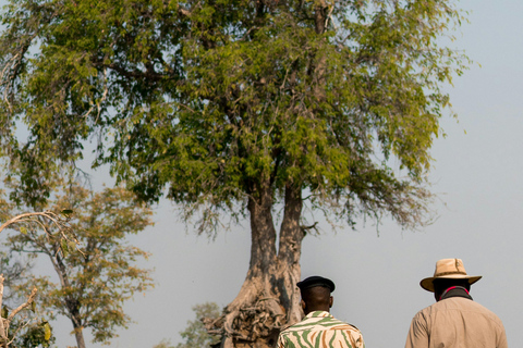 Livingstone: Mosi-oa-Tunya Park Safari and Zipline Tour