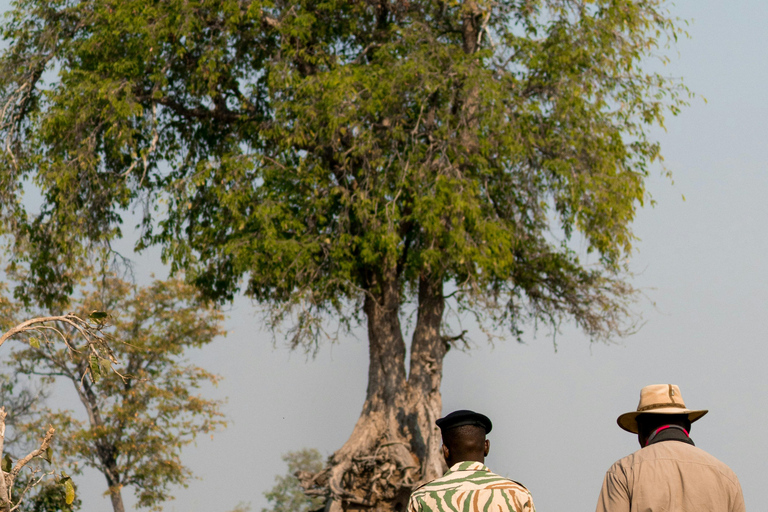 Livingstone: Mosi-oa-Tunya Park Safari and Zipline Tour