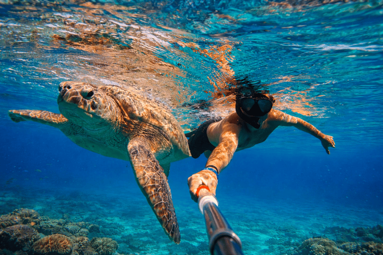 Mirissa: Guided Turtle Snorkeling Experience with Pickup