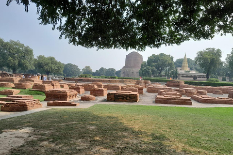 Sarnath Heritage Tour : Explore the birthplace of Buddhism