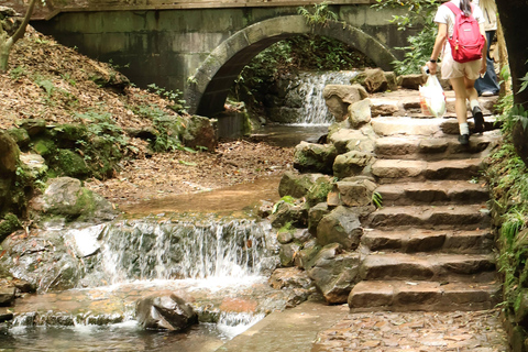 Hangzhou Half-Day: Pagoda, Bamboo Grove, and Old Street Tour
