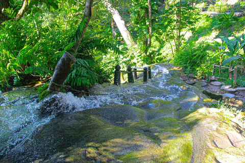 Chiang Mai: Sticky Waterfall by Local Truck with Market Stop Group Options
