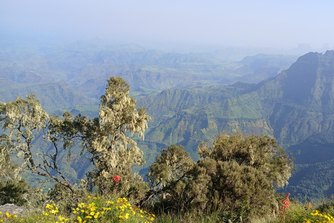 Gondar: 7-tägige Simien Mountains Wandertour