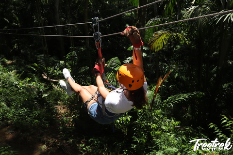 Panama City: Canopy + Exhibitions, Live exploring. Gamboa Panama City: Canopy + Exhibitions, Live and Explore. Gamboa