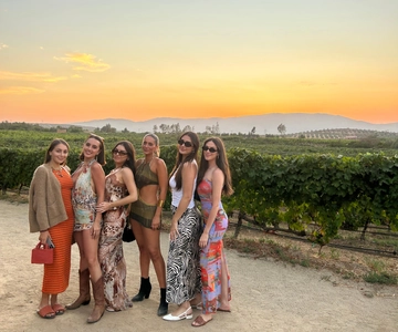 Valle de Guadalupe: Tour della cantina con degustazione
