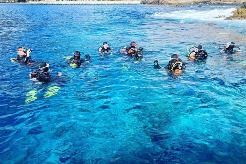 Madeira: Full-Day Dive Pack