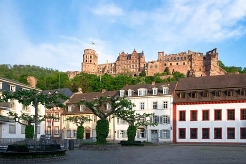 Hallo Heidelberg: Privater, 2-stündiger Stadtrundgang mit ortskundigem Guide