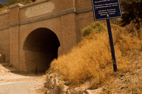 Valley + Paleontological Museum for cruise passengers