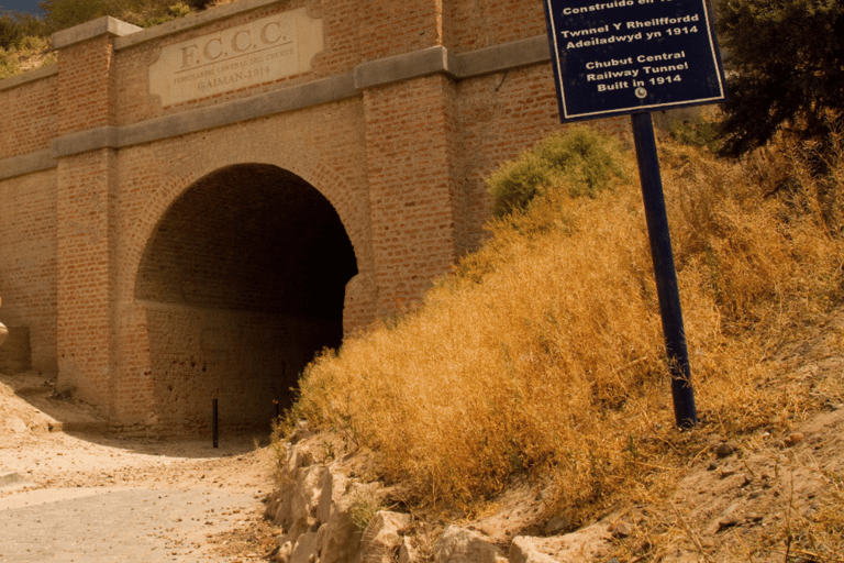 Valley + Paleontological Museum for cruise passengers