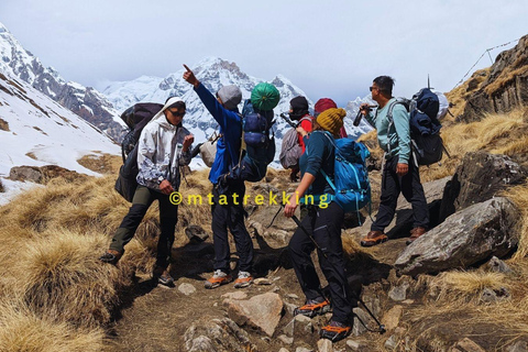 Kort Annapurna Base Camp Trek: 5 dagar från Pokhara: PokharaPrivat guidad vandring i Annapurna Basecamp utan måltider