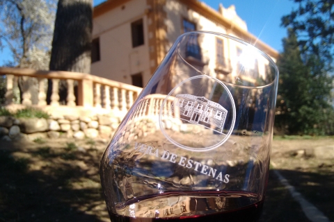 Valence : Excursion d'une journée avec dégustation à la grotte et au vignoble d'Utiel-Requena