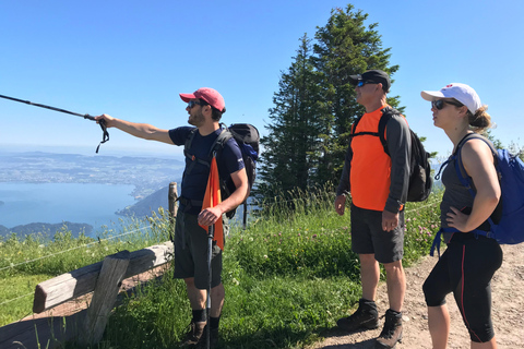 Mount Rigi Guided Hike from Lucerne