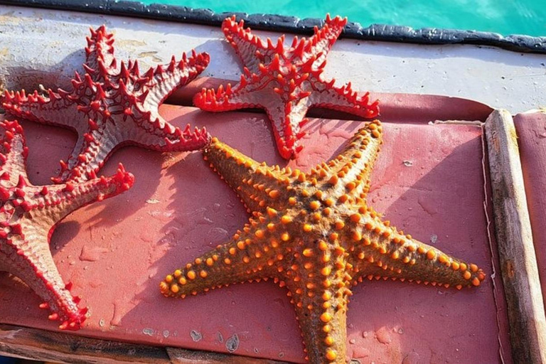 Zanzibar: Private Blue Lagoon & Starfish Snorkeling Tour Private Tour No Hotel pick up and drop-off