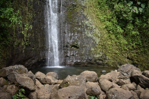 Desde Waikiki: recorrido por la selva tropical de Manoa Falls con almuerzo saludable