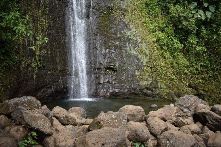 Depuis Waikiki : Manoa Falls et déjeuner équilibré