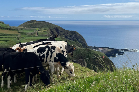 São Miguel: Sete Cidades, Lagoa do Fogo & Furnas - Full Day Tour