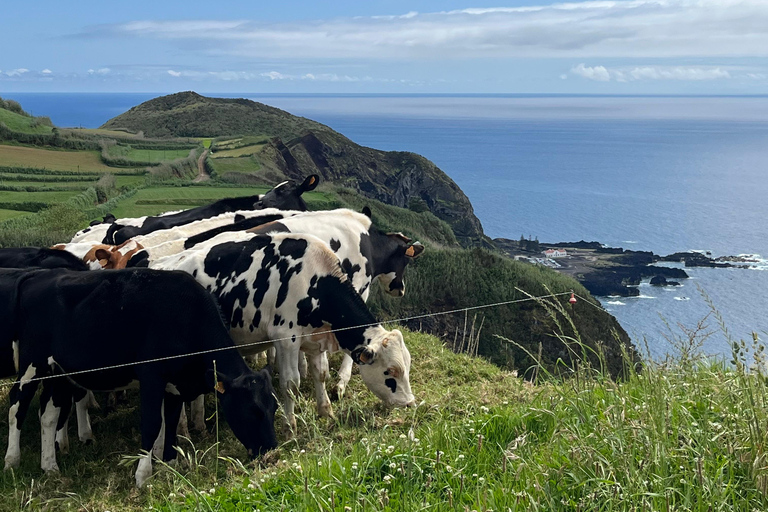 São Miguel: Sete Cidades, Lagoa do Fogo & Furnas - Full Day Tour