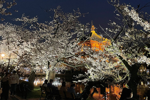 Tokyo: Ueno Cherry Blossom Picnic &amp; Outdoor Drinking Tour