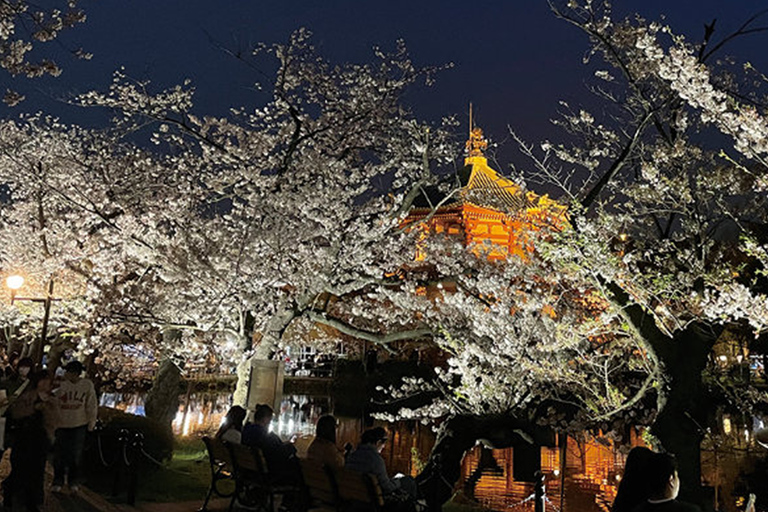 Tokyo: Ueno Cherry Blossom Picnic &amp; Outdoor Drinking Tour