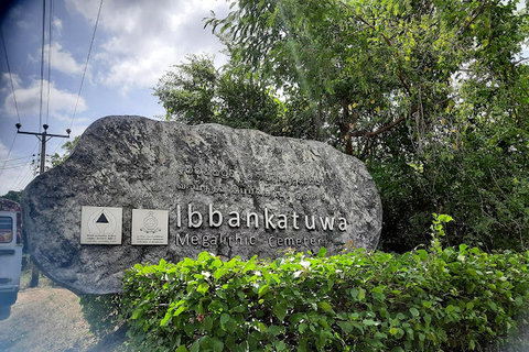Dambulla: Sigiriya Day Tour With Kaudulla Elephant Safari