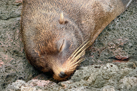 3 ongelooflijke dagvullende tours in de Galapagos Archipel