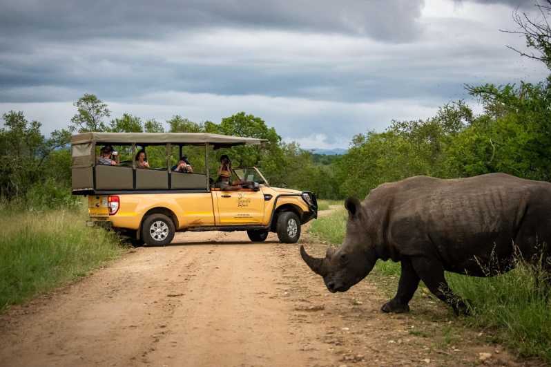 From Hazyview: Kruger National Park Full-Day Safari