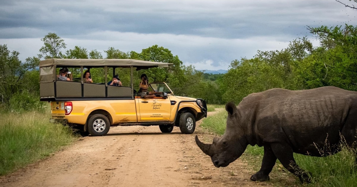 From Hazyview: Kruger National Park Full-Day Safari | GetYourGuide