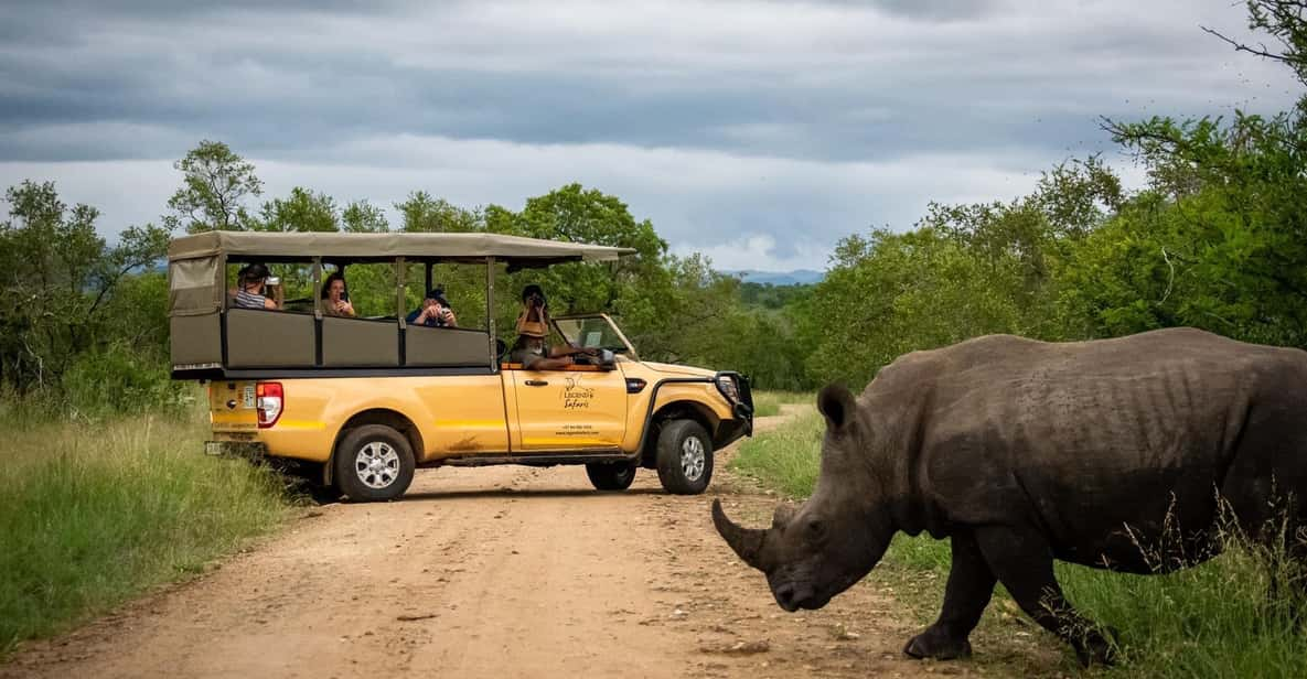 From Hazyview: Kruger National Park Full-Day Safari | GetYourGuide