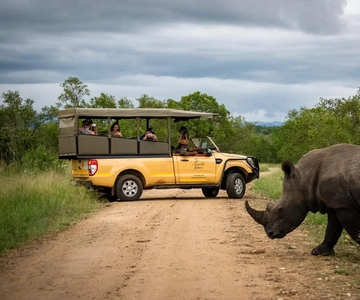 Au départ de Hazyview : Safari d'une journée dans le parc national Kruger