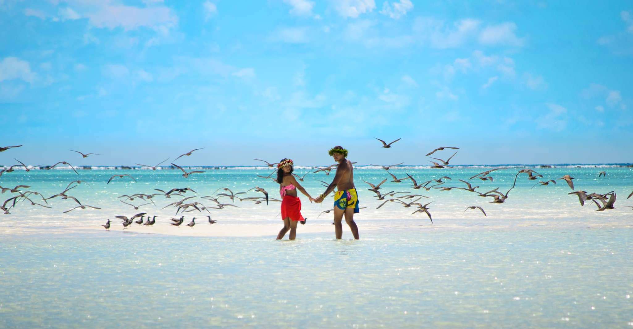 L'île de Tetiaroa en catamaran à voile - de Tahiti - Hizvo
