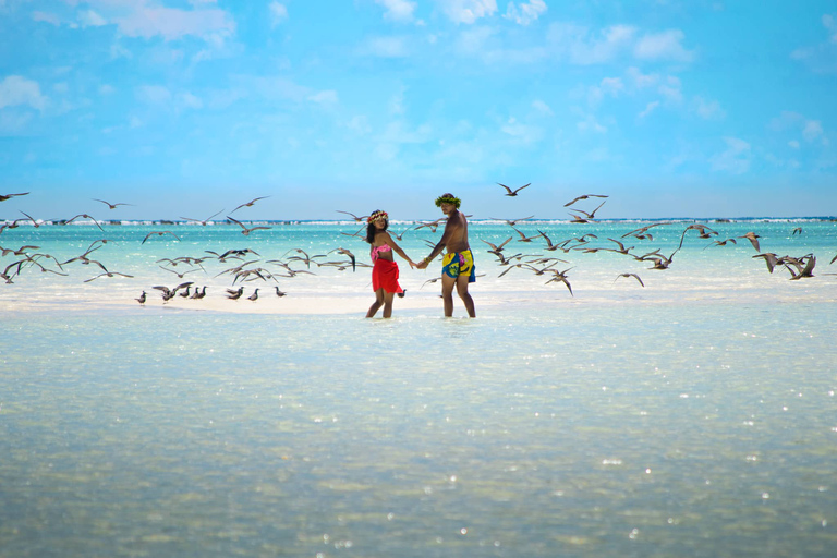 Von Tahiti aus: Tetiaroa Inselrundfahrt mit dem Segelkatamaran