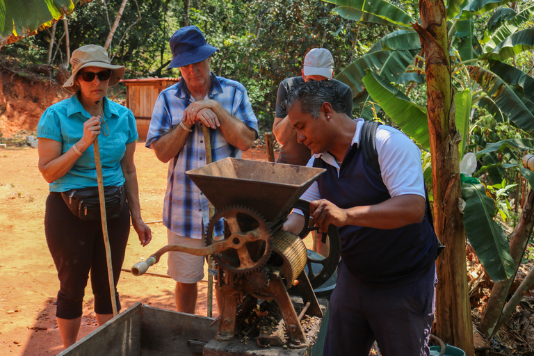 Cocoa-Coffee and Traditions: Huatulco