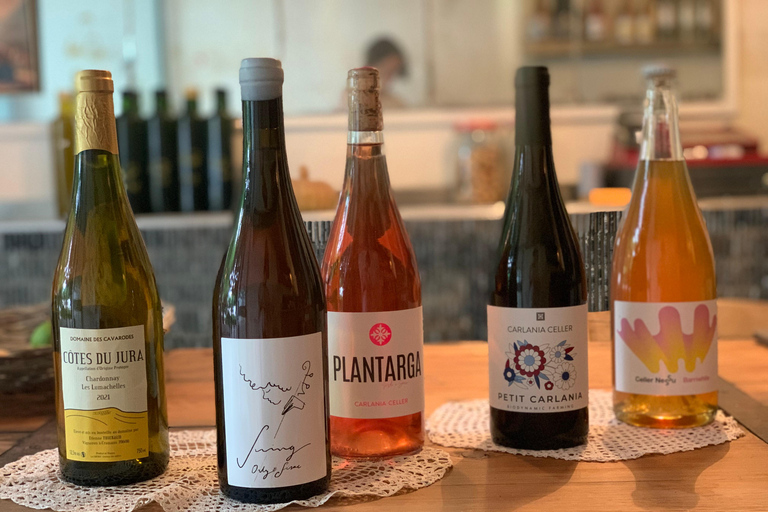 Cordoba: From Vine to Table: A Spanish Wine Experience