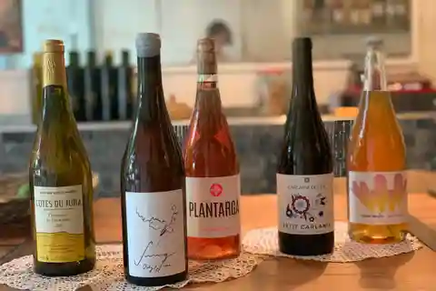 Córdoba: De la vid a la mesa: una experiencia vinícola española