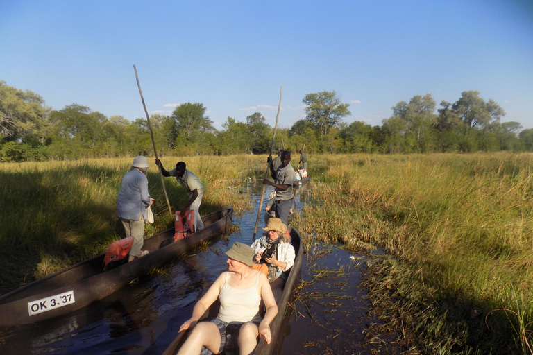 excursión de un día en mokoro por el delta del okavango