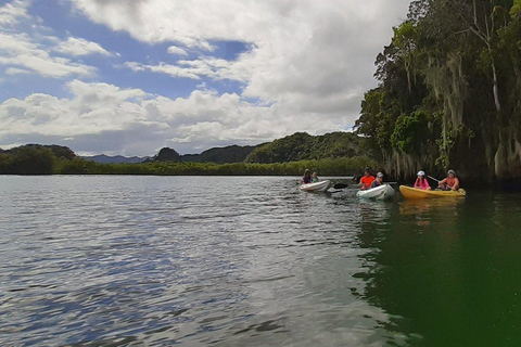 Punta Cana: Los Haitises National Park Hiking and Kayaking