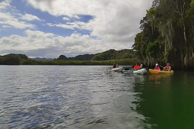 Punta Cana: Los Haitises National Park Hiking and Kayaking