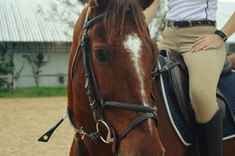 Ringberg Castle: Royalty Horseback Riding Experience