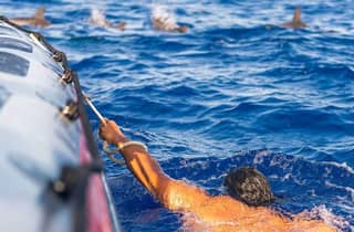 Funchal: Whale-Watching-Bootsfahrt und Schwimmen mit Delfinen