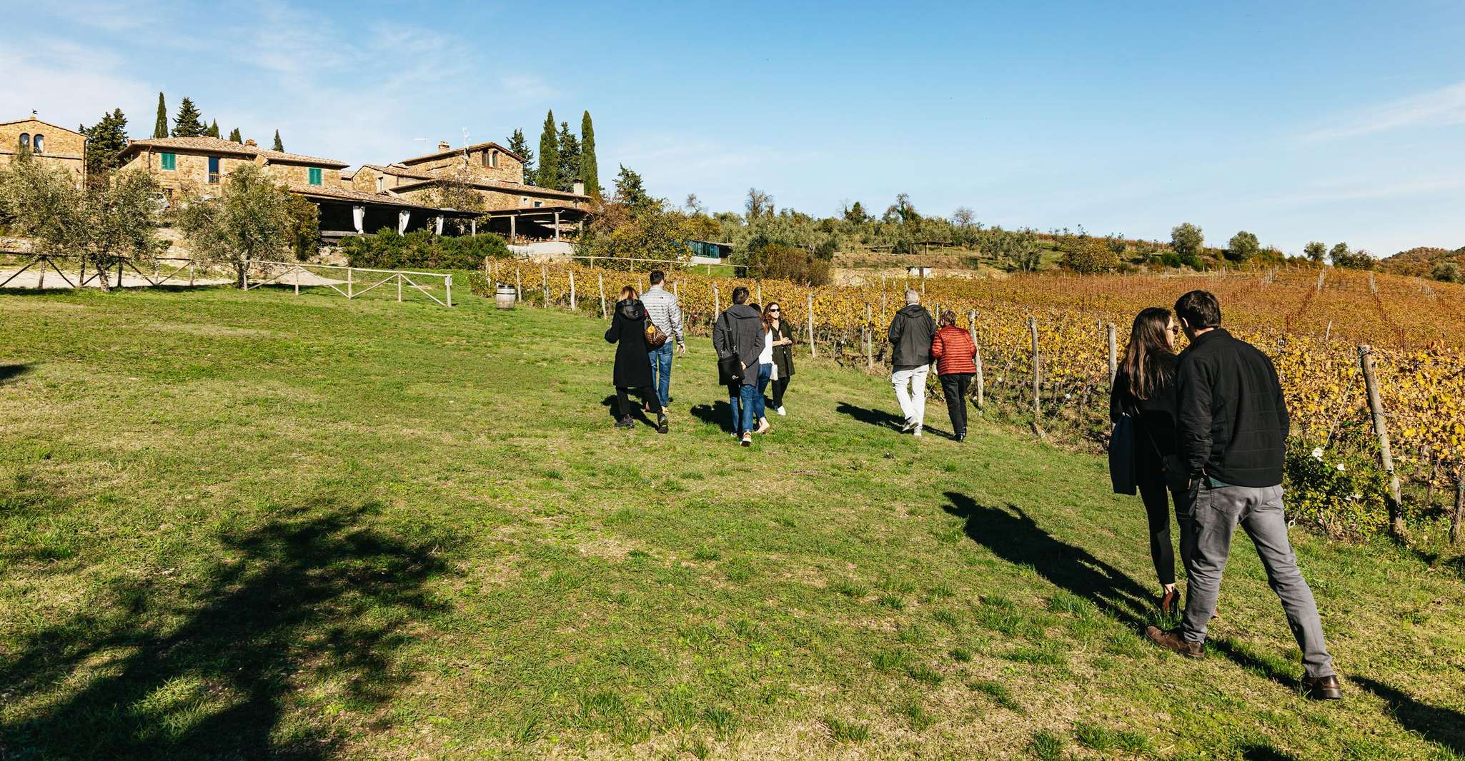 SMALL GROUP Tuscany Wine Tasting Safaris with Lunch / Dinner photo 10