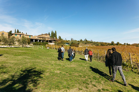 Da Firenze: Safari con degustazione di vini e cibi del Chianti