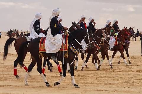杰尔巴岛幻想曲：泻湖2小时传统马术表演