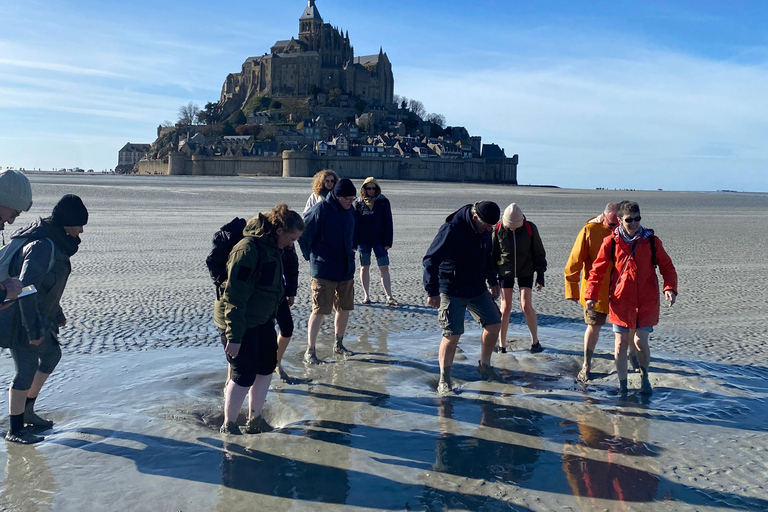 2-Hour Walk and Quicksand Experience in the Bay, Departing from Mont Saint-Michel 2-Hour Walk and Quicksand in the Bay, Departing from Mont Saint-Michel