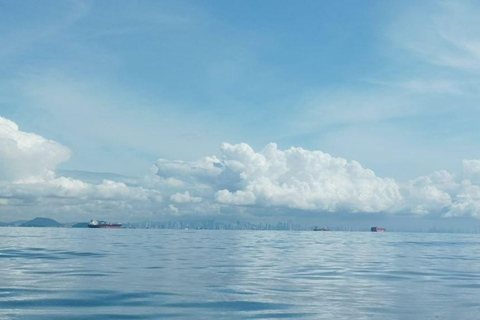 Panama City: Whale Watching Tour with Island Stop