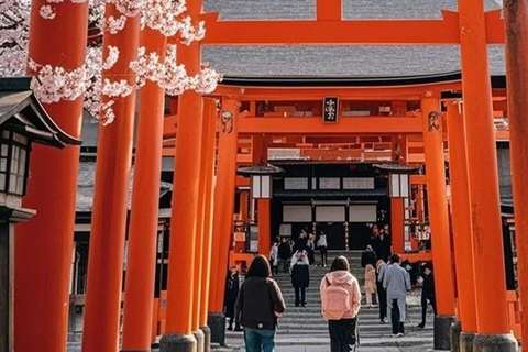 Osaka: Kyoto, Nara, Fushimi Inari, and Arashiyama Tour Japanese Service