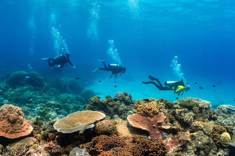 Cairns: 4-Day PADI Open Water Course