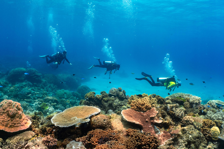 Cairns: 4-Day PADI Open Water Course