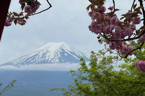 Fuji-berget, Oshino Hakkai, Kawaguchi-sjön, privat dagstur